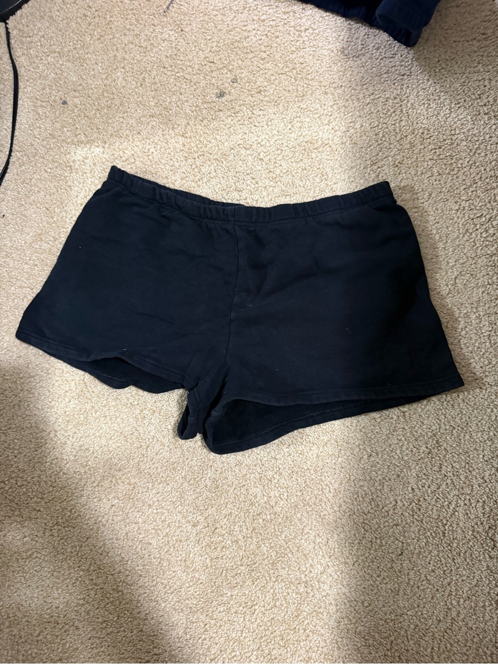Aritzia TNA sweat shorts